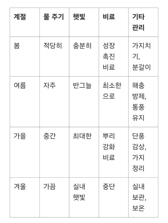 분재갤러리한비 이미지