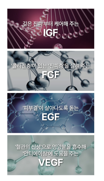 코코린느 이미지