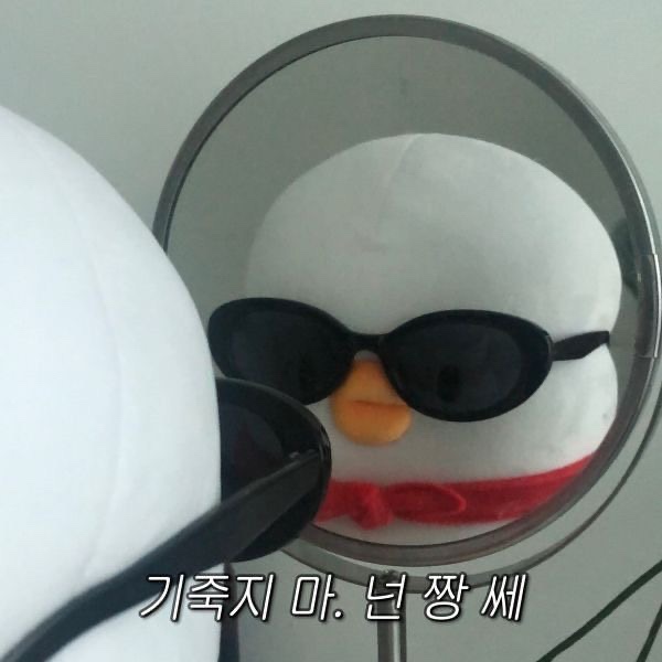 수현이네 이미지