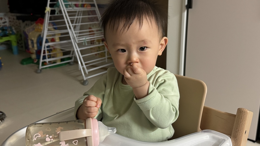 돌고래사과 이미지