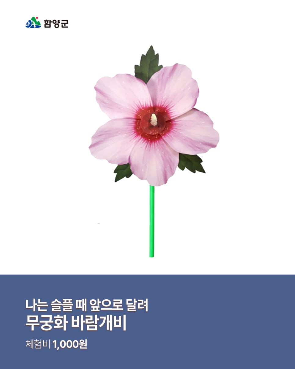 최치원아트 이미지