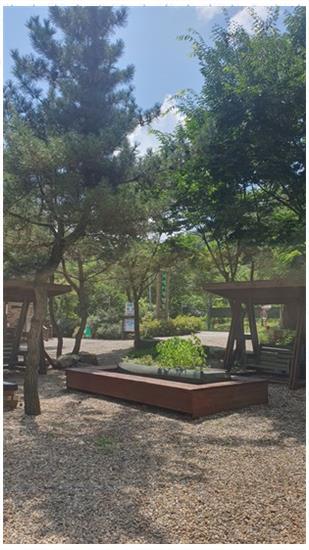 법흥캠핑장 이미지