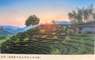 정화다방 이미지