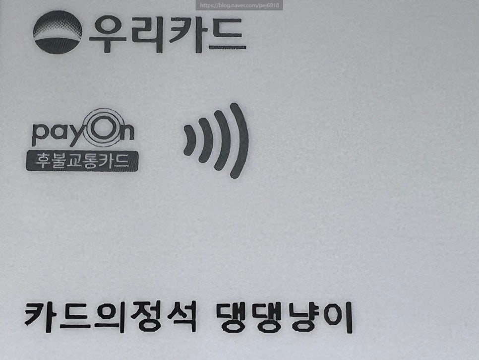 댕댕플레이트 이미지
