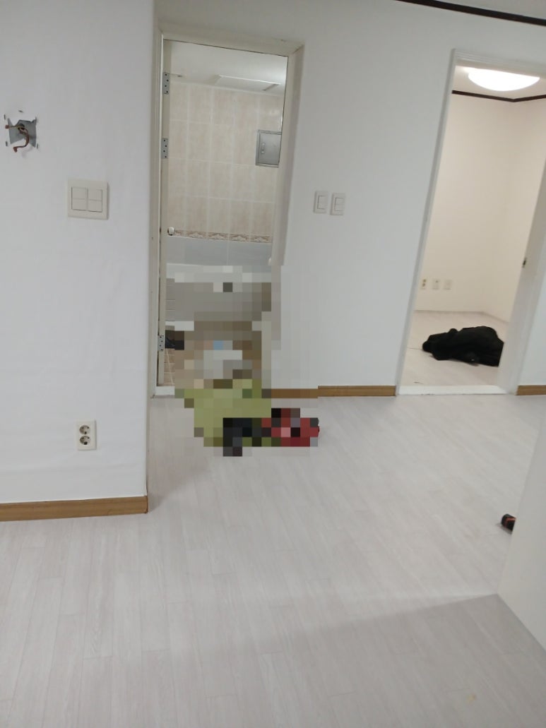 고시몰 이미지