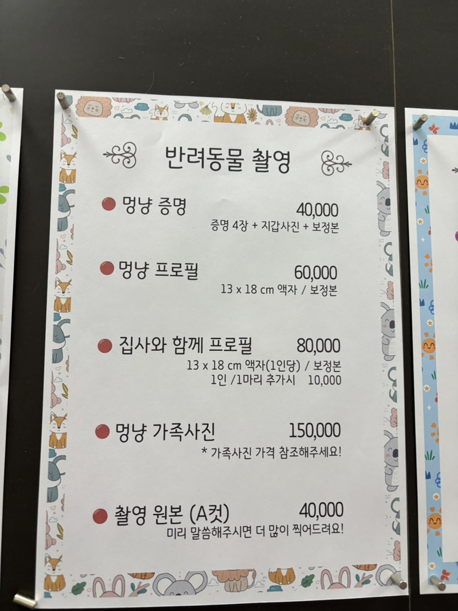 영등포 싼타 사진관 강아지 패턴 프로필 촬영 후기 — 사진 2