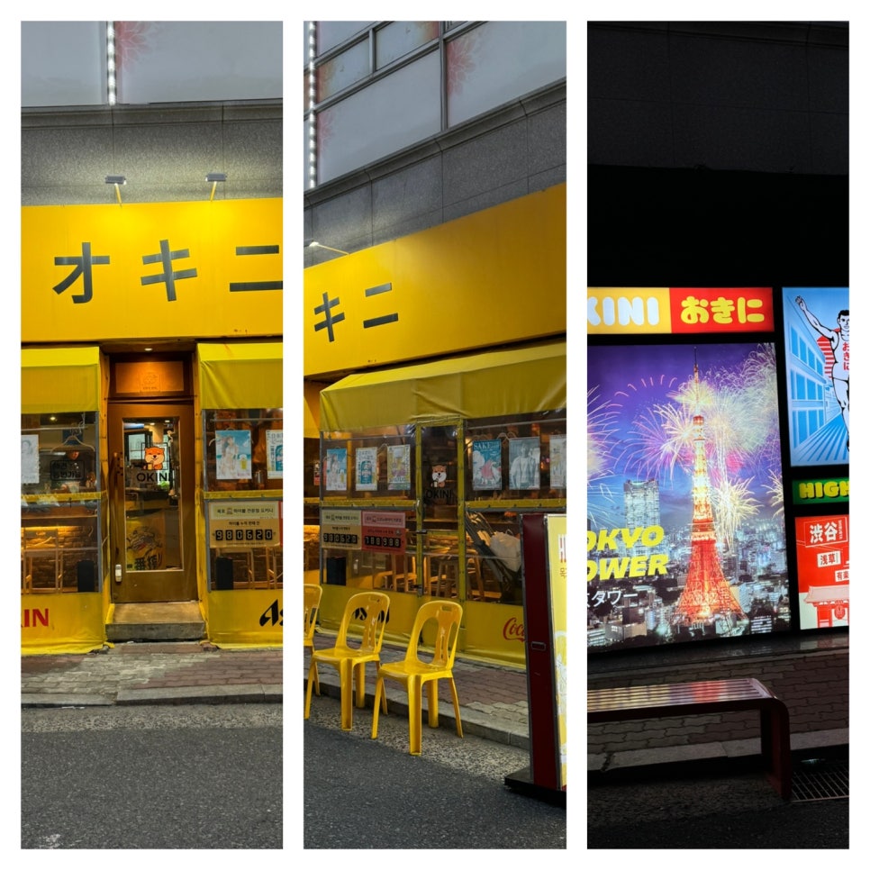 오키니 이미지