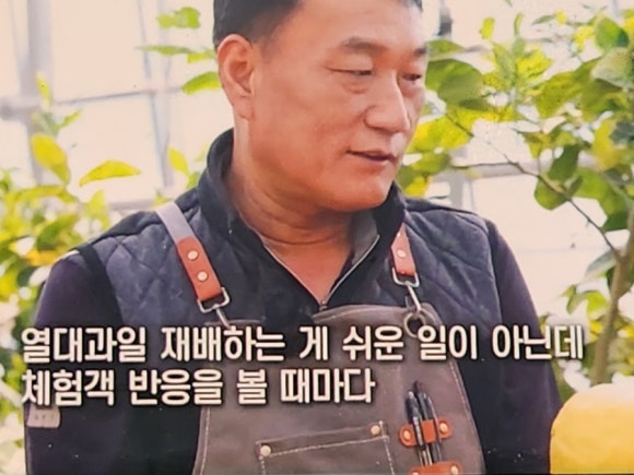 내고향과일 이미지