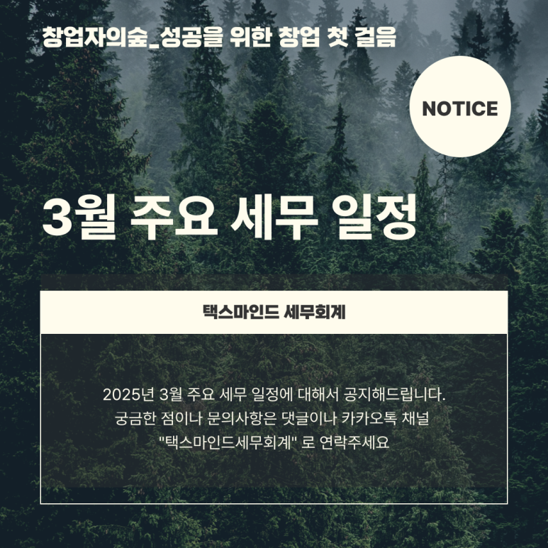 택스마인드세무회계 이미지