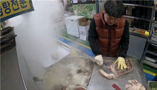 2대곰탕 이미지