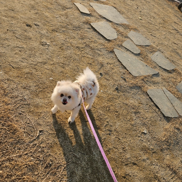 대구숲에가자 이미지