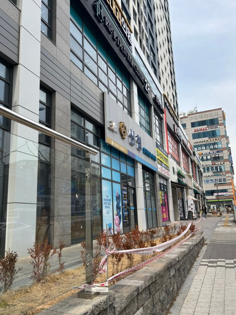 럭스그레이스 이미지