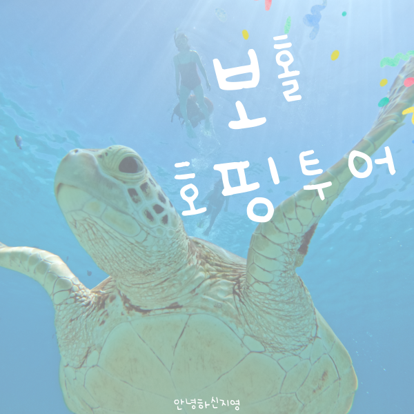 디프리투어 이미지