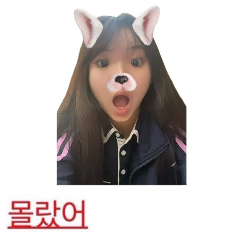 시샘달 이미지