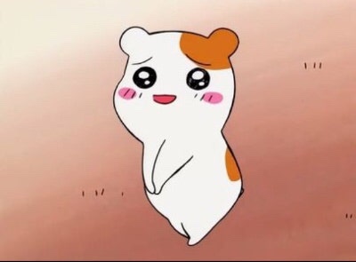 아르더헤어샵 이미지