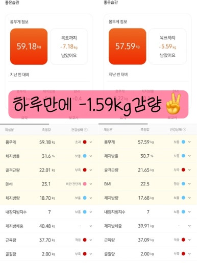 호이플랜 이미지