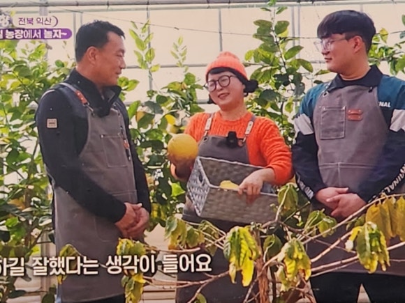 내고향과일 이미지