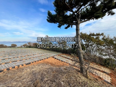 안면도힐링캠핑장 이미지