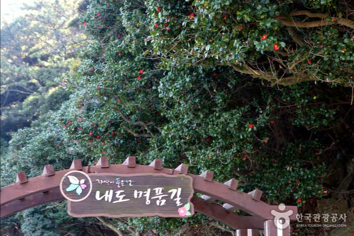 부산동백관광 이미지
