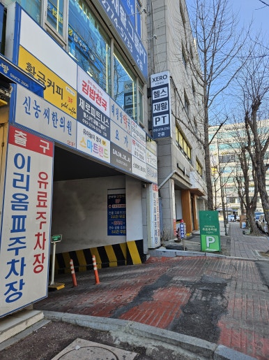 수인래쉬 이미지