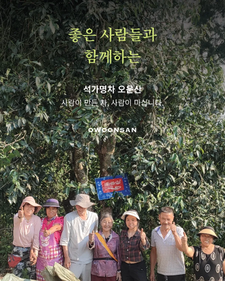 오운산 석가명차 이미지