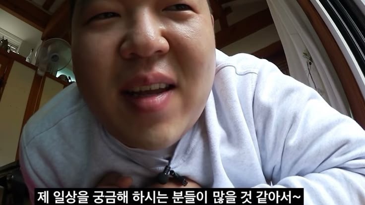 하이하이 이미지