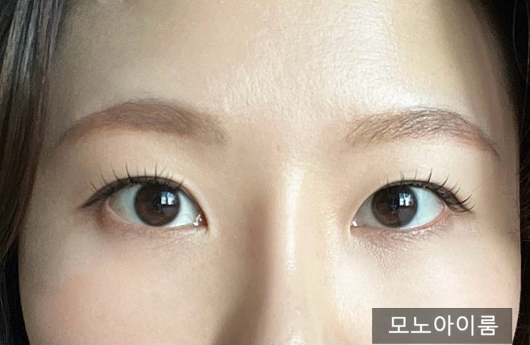 모노아이룸 이미지