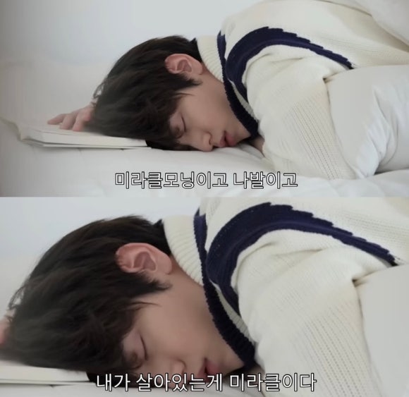 안녕하새우 이미지