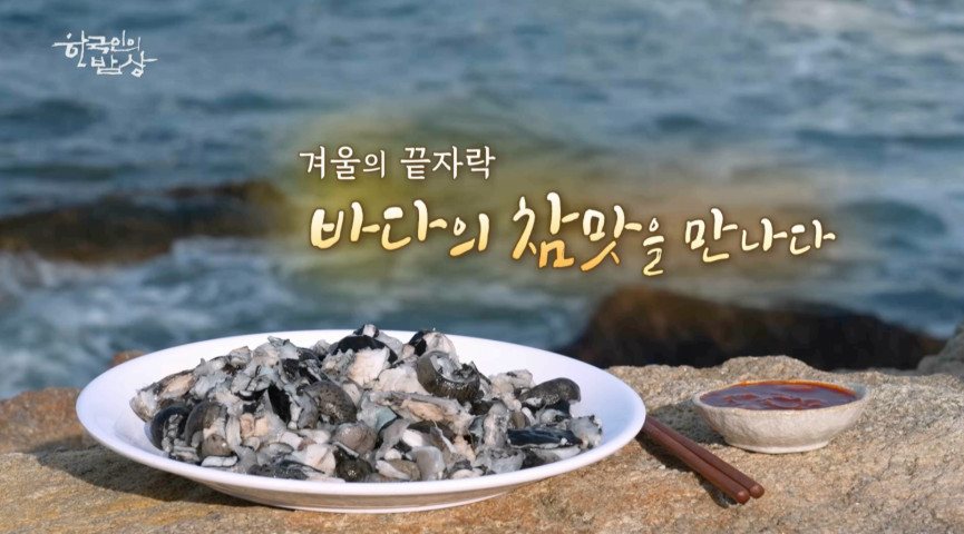 삼치회사랑 이미지