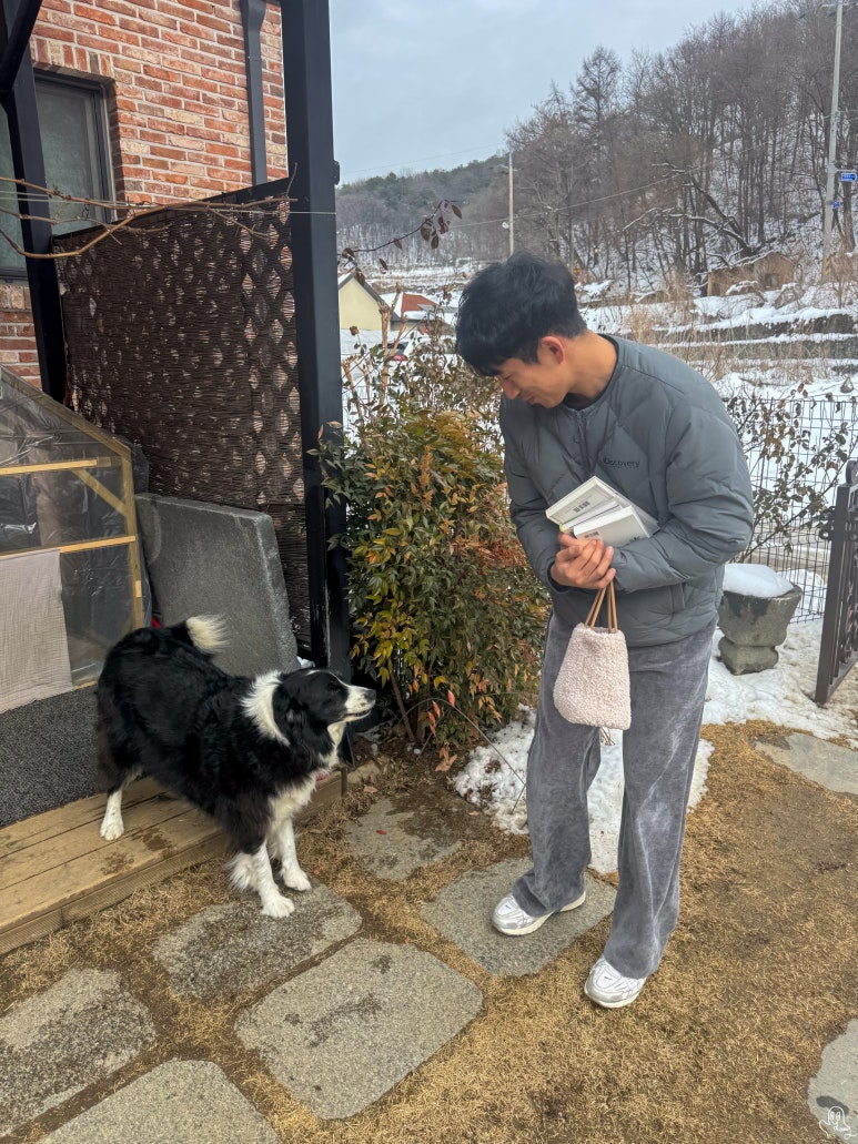 세종서점 이미지