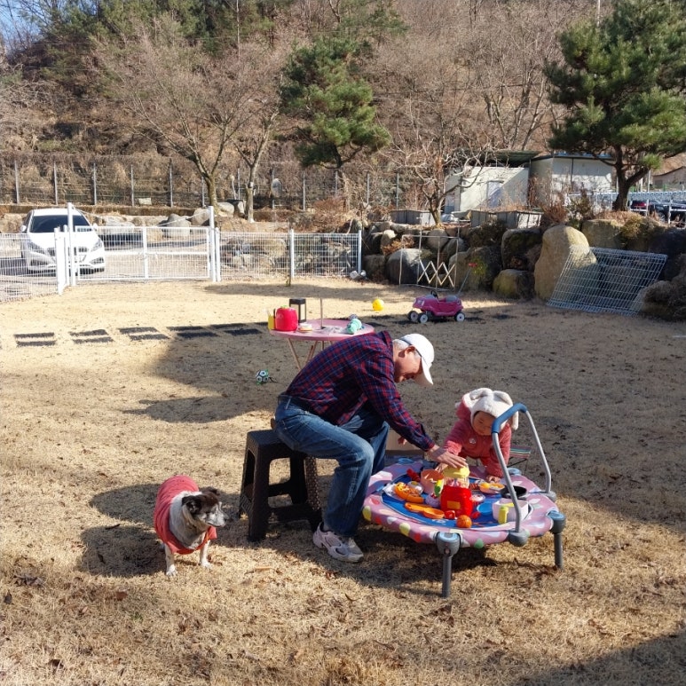 윤서네 칼국수 이미지