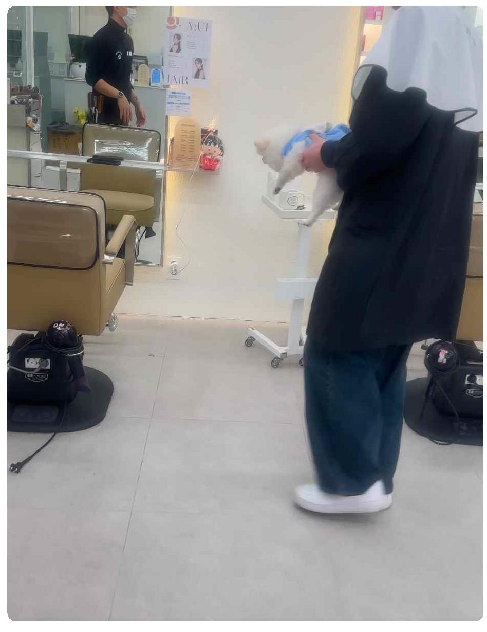 아언헤어 이미지