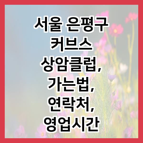 커브스상암클럽 이미지