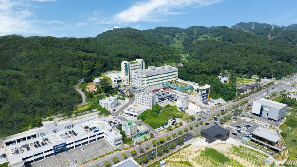 참포도나무병원 이미지
