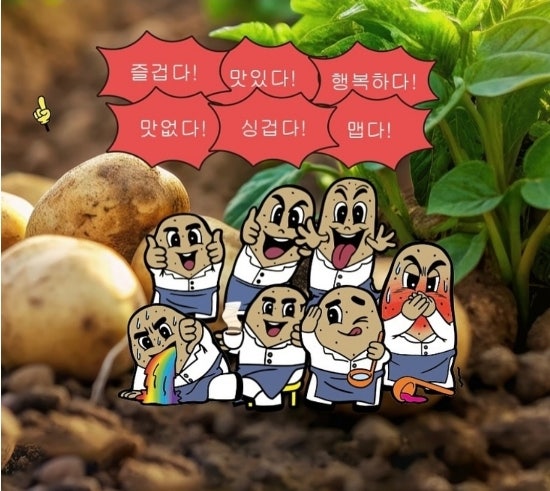 콩콩야식 이미지