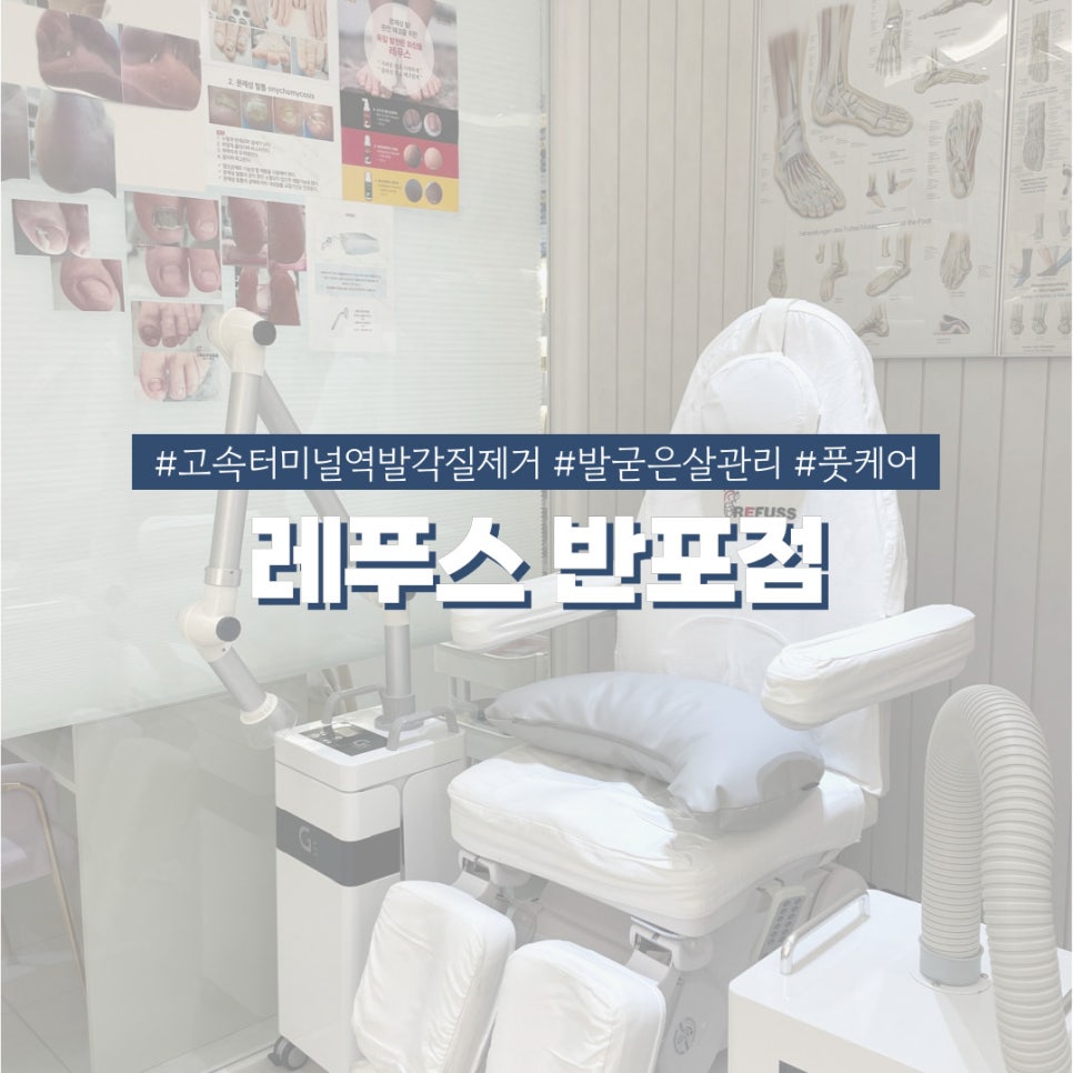 네일리코레푸스 이미지