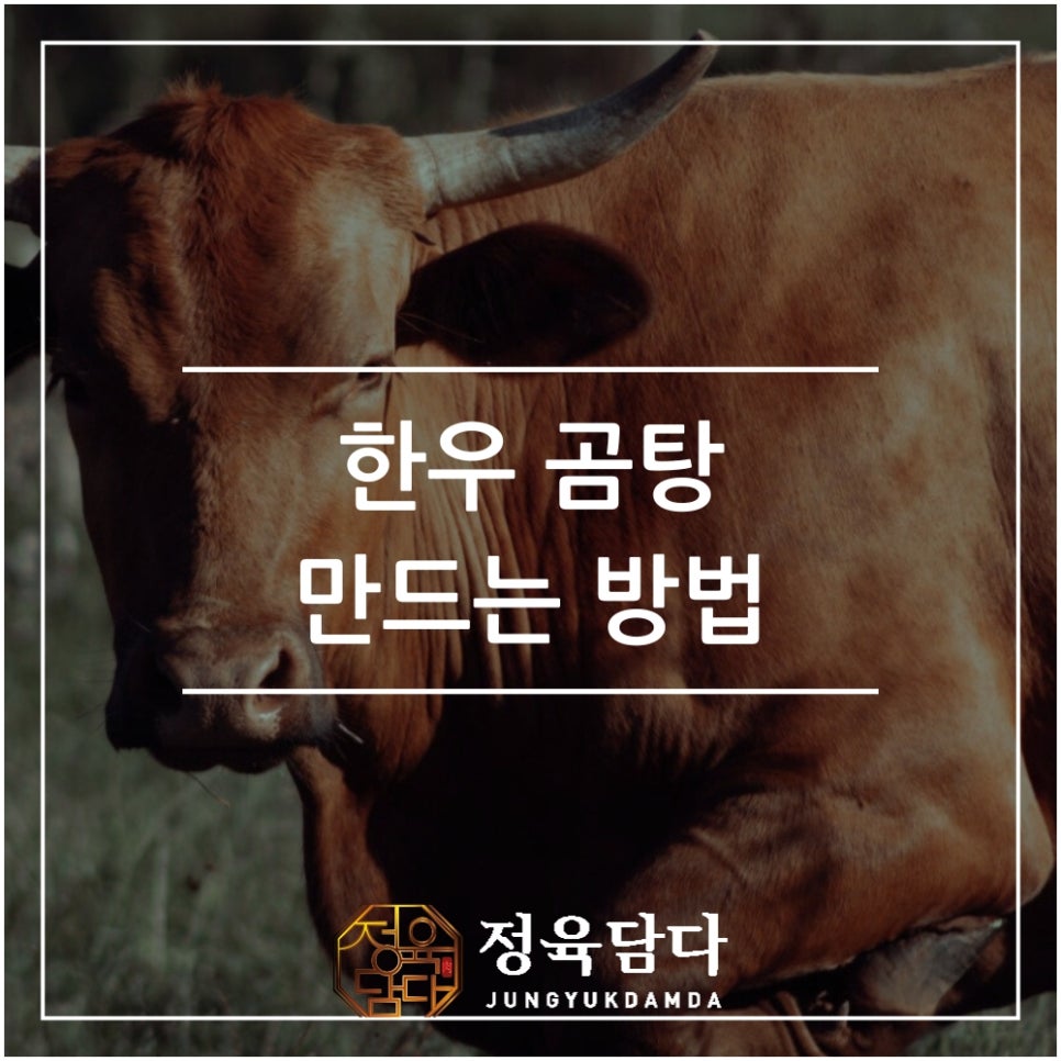 정육담다 이미지