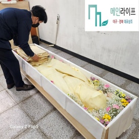 의성상조 이미지