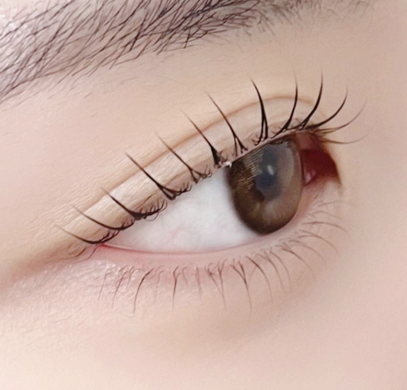 더렛빈 이미지