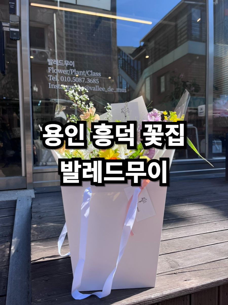 발레드무이 이미지