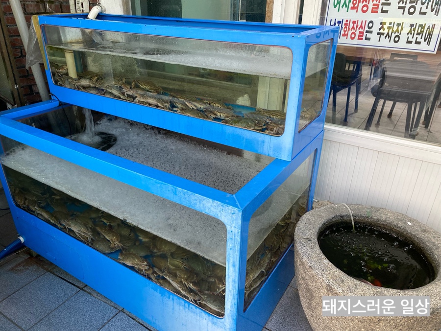 강화꽃게전문 이미지