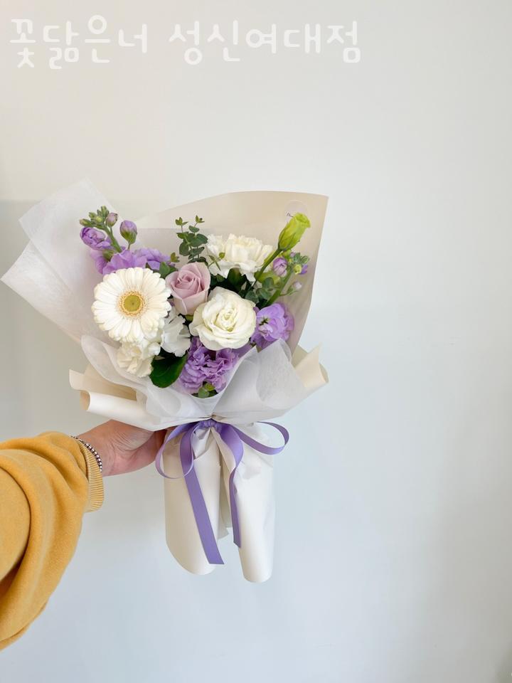 꽃닮 이미지