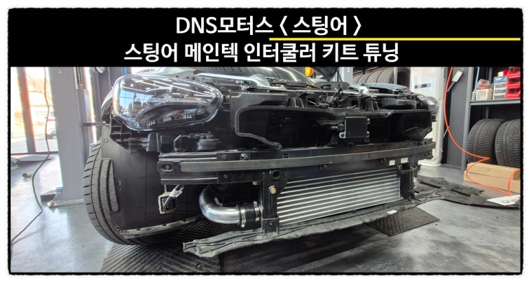 DNS모터스 이미지