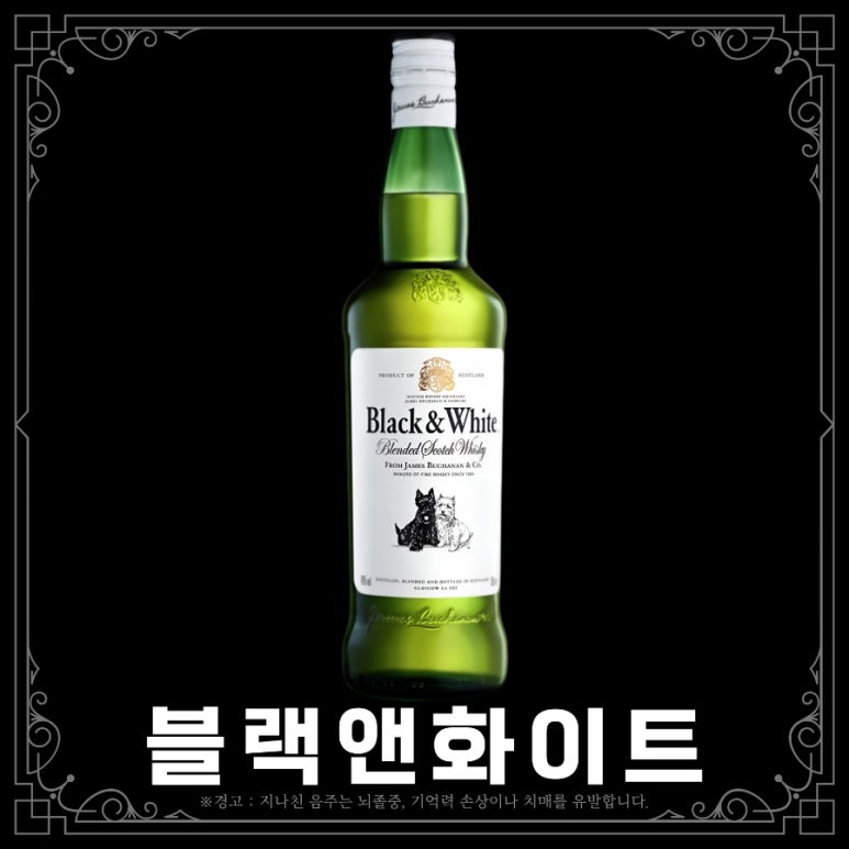 몰트앤컴퍼니 이미지