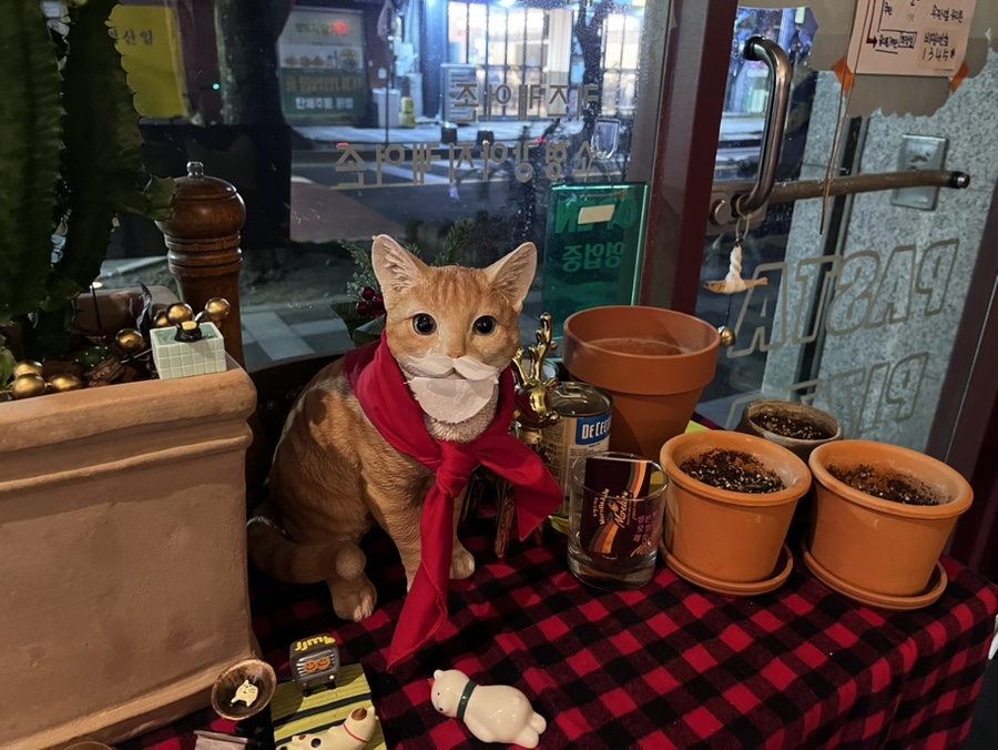 모렐로제주 이미지