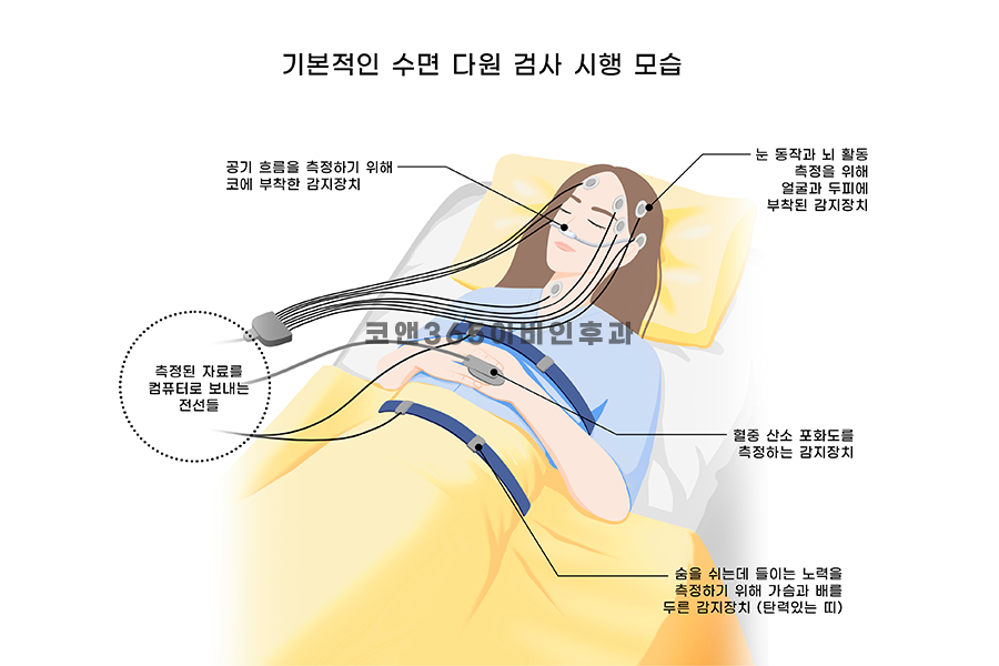 양주종합산소 이미지