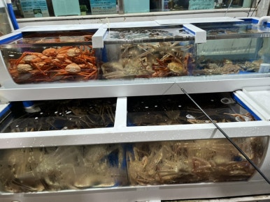금광호수산 이미지