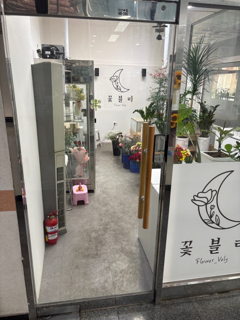 꽃블리부산 이미지