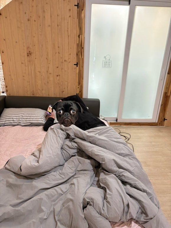 청도글램핑소꿉놀이 이미지