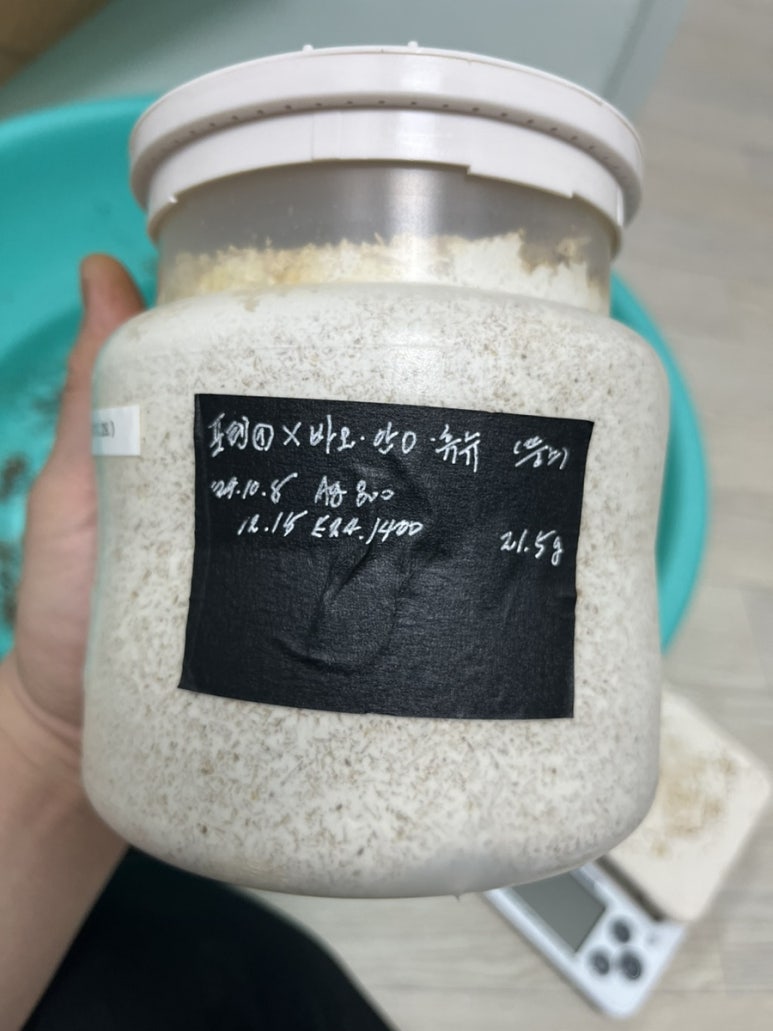 포텐슈 이미지